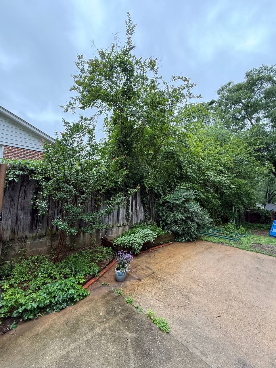 Fence Installation & Replacement – Image 2