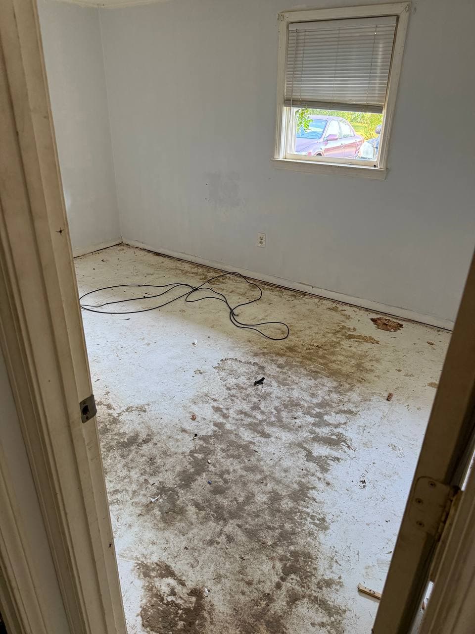 Full House Carpet Replacement with LVP Flooring – Image 2