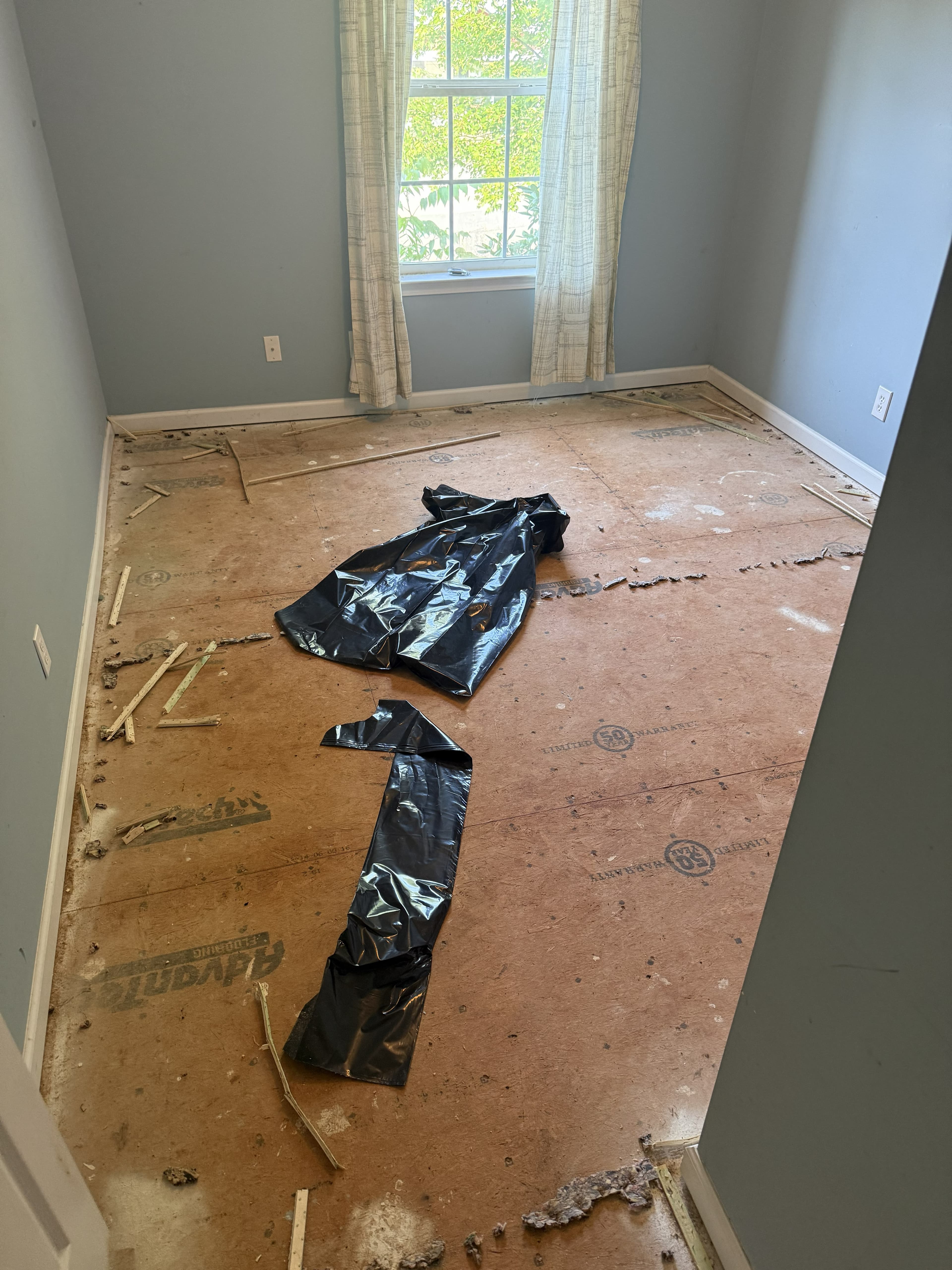 LVP Flooring Installation & Full Interior Painting – Image 4