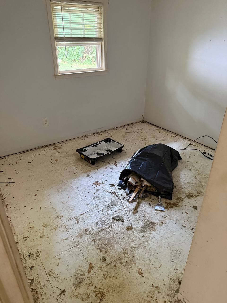 Full House Carpet Replacement with LVP Flooring – Image 4