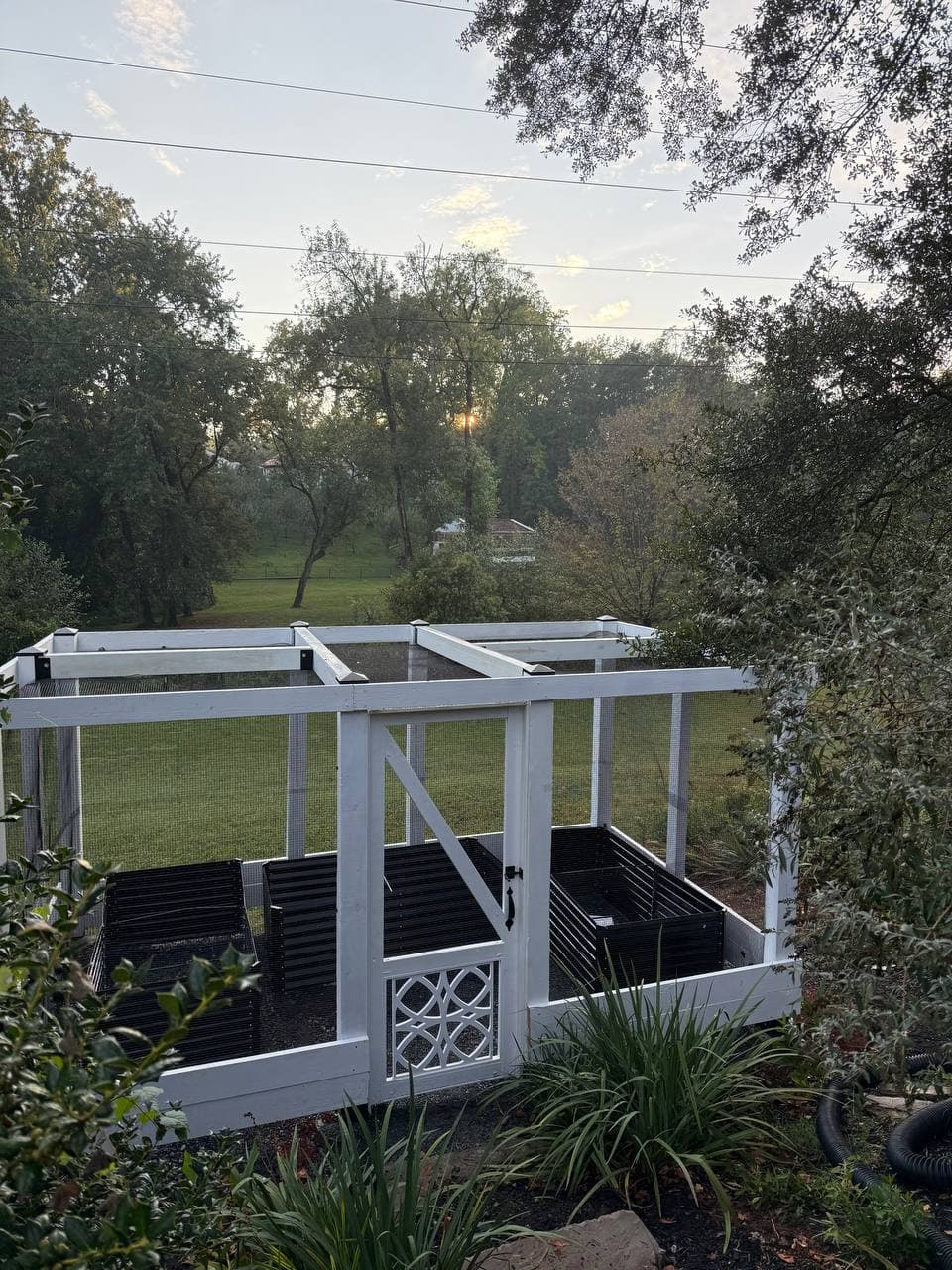Garden Shelter & Plant Enclosure – Image 1